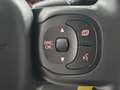 Fiat Panda 1.0 firefly hybrid City Life S&S Grigio - thumbnail 17