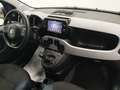 Fiat Panda Cross 1.0 firefly hybrid Grigio - thumbnail 10