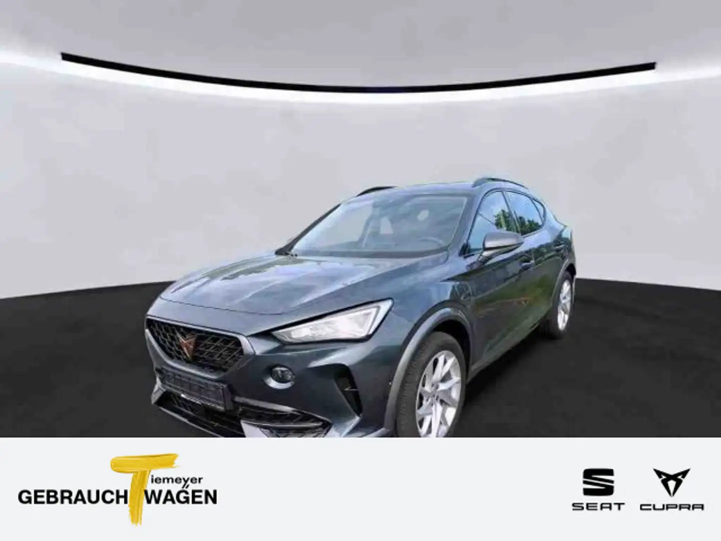 CUPRA Formentor eHybrid AHK KAMERA WINTERPAKET NAVI+ A Grau - 1