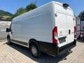 Citroen C8 Jumper 35 2.2 BlueHDi Heavy L4H2 3,5t SS (E6d-T) Weiß - thumbnail 4