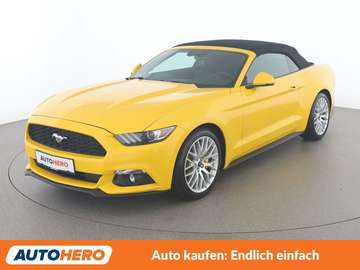 2.3 EcoBoost Convertible Basis