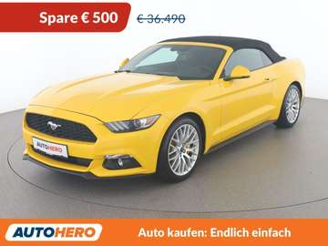2.3 EcoBoost Convertible Basis