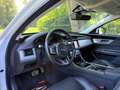 Jaguar XF Sportbrake 20d AWD Prestige Aut.*Mega-Ausstattung* Weiß - thumbnail 9