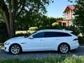 Jaguar XF Sportbrake 20d AWD Prestige Aut.*Mega-Ausstattung* Weiß - thumbnail 7