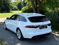 Jaguar XF Sportbrake 20d AWD Prestige Aut.*Mega-Ausstattung* Weiß - thumbnail 6