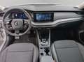 Skoda Octavia Octavia Wagon 2.0 tdi evo Executive 150cv dsg Argento - thumbnail 12