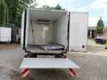 Iveco Daily Kühlkoffer Weiß - thumbnail 24