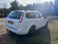 Ford Focus Focus 1.6 Trend Wit - thumbnail 3