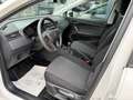 SEAT Ibiza Reference/KLIMA/SITZHEIZUNG/DAB/ Weiß - thumbnail 6