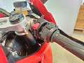 Ducati Panigale V4 RED Rojo - thumbnail 11
