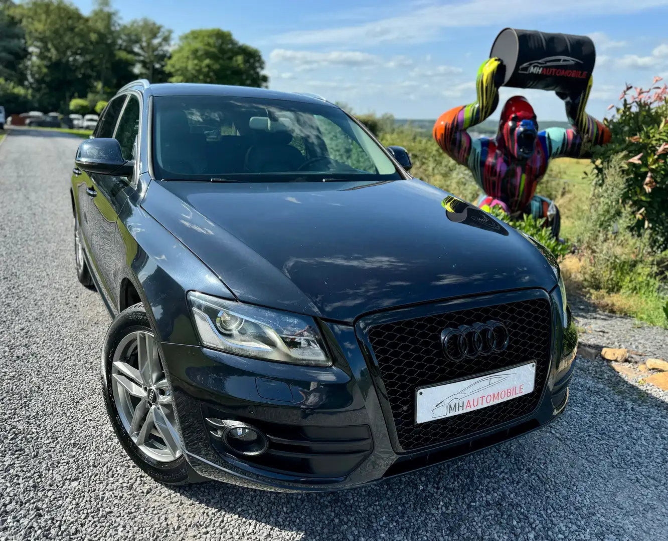 Audi Q5 2.0 TDi Quattro S Tronic Blauw - 2