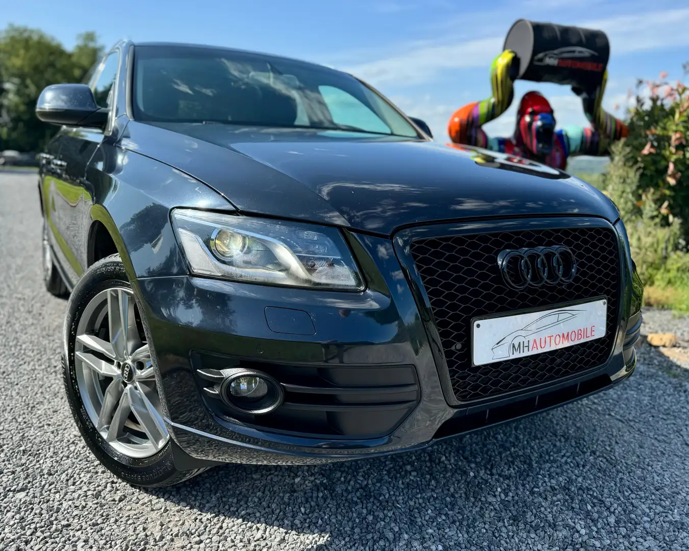 Audi Q5 2.0 TDi Quattro S Tronic Blauw - 1