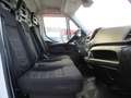 Iveco Daily 35C15 2.3 150CV E5 FURGONE 4.30+PEDANA 10Q 8 PEDAN Blanc - thumbnail 12