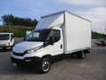 Iveco Daily 35C15 2.3 150CV E5 FURGONE 4.30+PEDANA 10Q 8 PEDAN Blanc - thumbnail 1