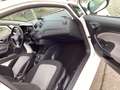 SEAT Ibiza 1.2 Style Salsa Blanc - thumbnail 19