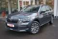 Skoda Kamiq 1.0 Clever LED Navi Sitzheizung Bluetooth Grau - thumbnail 2