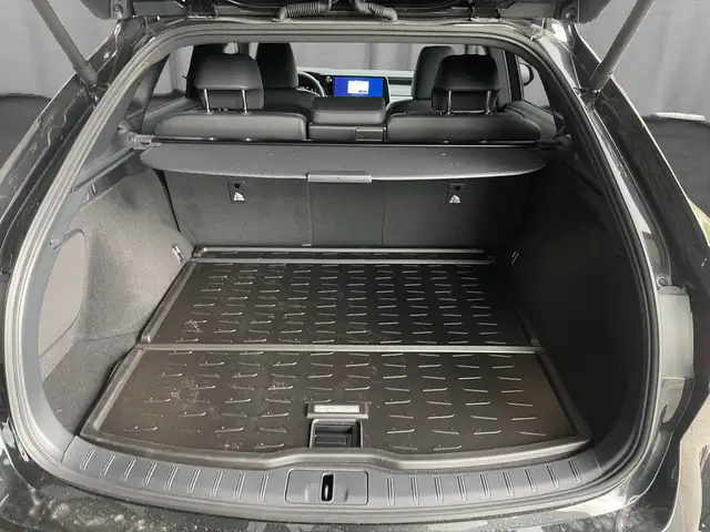 Lexus RX 450h Business Line Plug-In Hybrid 309 PS Allrad Ansicht 5