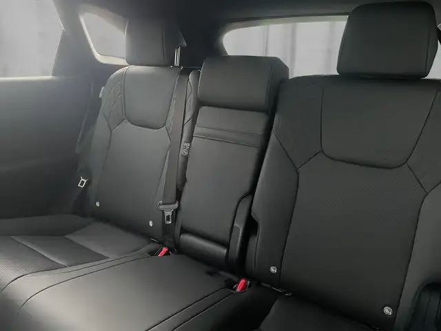 Lexus RX 450h Business Line Plug-In Hybrid 309 PS Allrad Ansicht 6