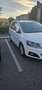 SEAT Alhambra 2.0 TDI Ecomotive Style Biały - thumbnail 4