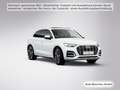 Audi Q5 45 TFSI qu. S tronic advanced Pano/StdHzg/Nav Weiß - thumbnail 8
