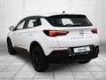 Opel Grandland X Grandland GS Line, Navi, IntelliLux, 360 Alb - thumbnail 7