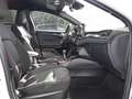 Ford Focus ST-Line MildHybrid ACC+Kamera+ParkAssist Klima Weiß - thumbnail 4