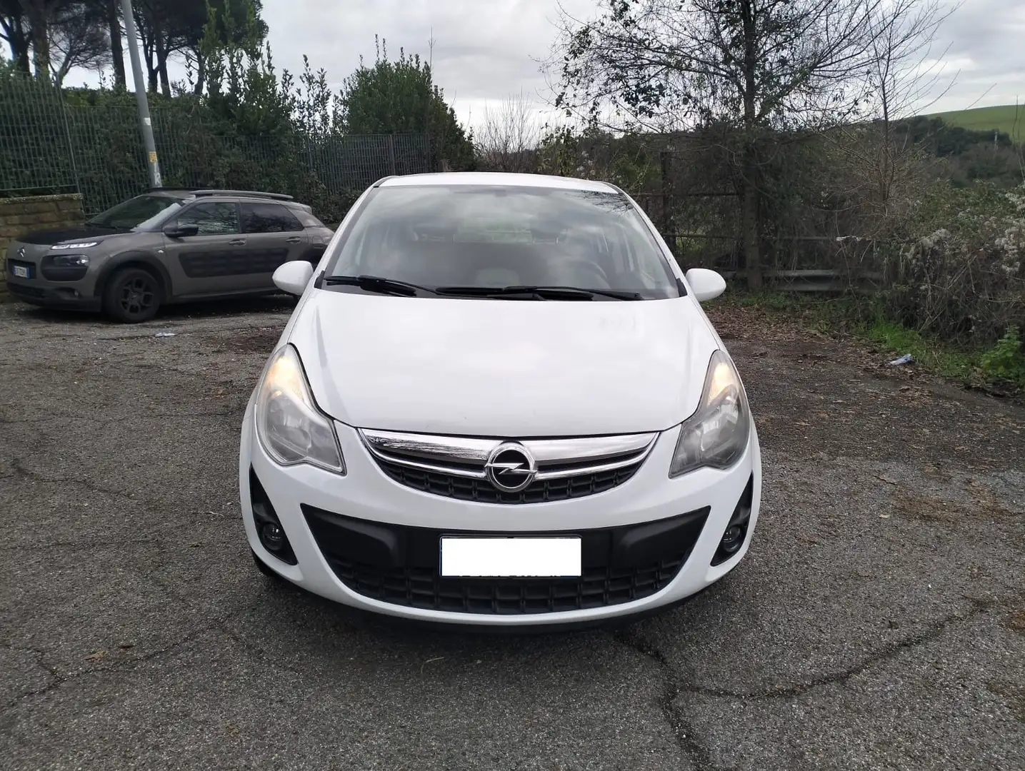 Opel Corsa Corsa IV 2014 5p 1.2 Ecotec 85cv Autom. Perfetta Bianco - 2