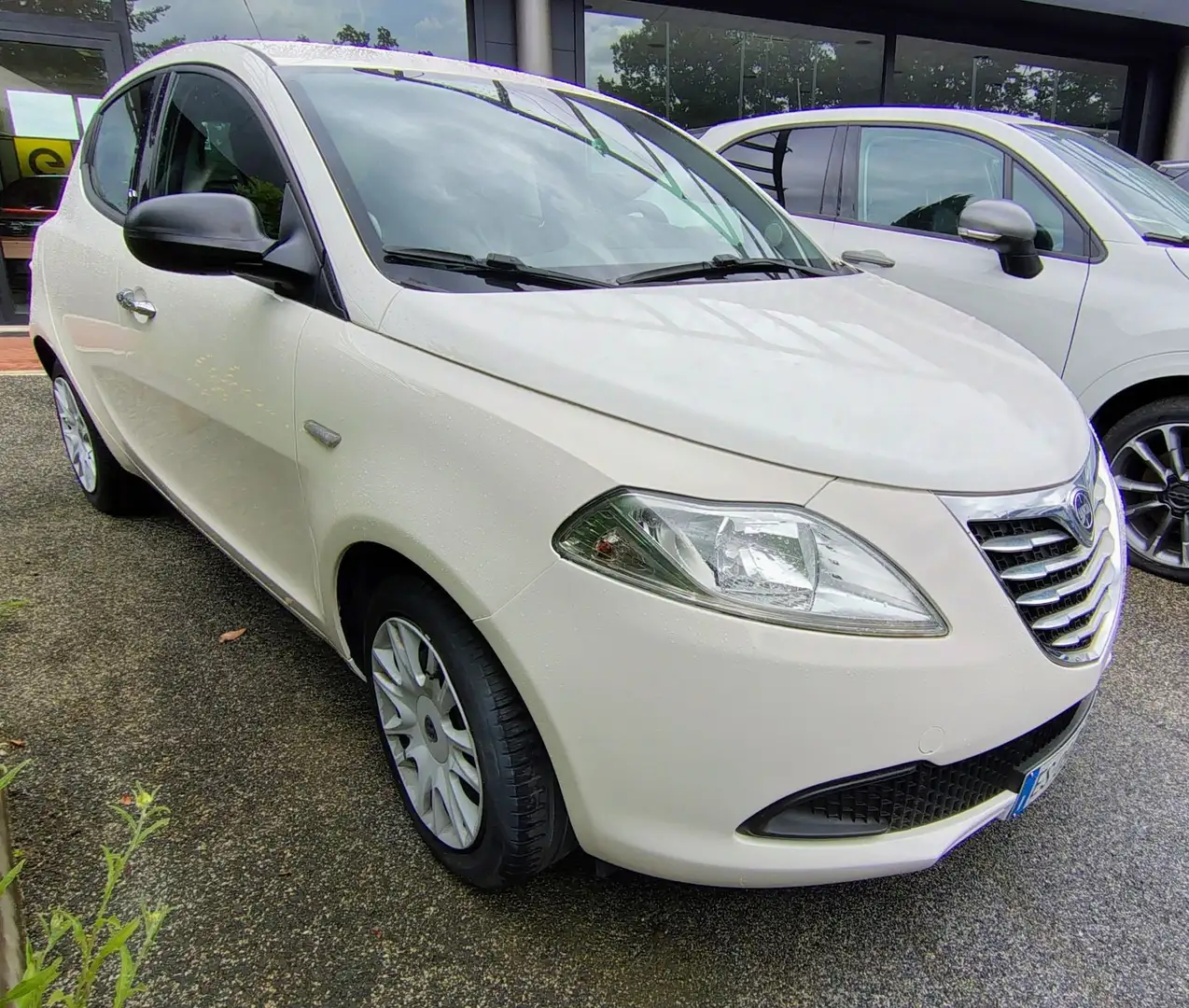 Lancia Ypsilon 1.2 69 CV 5 porte Silver Білий - 2