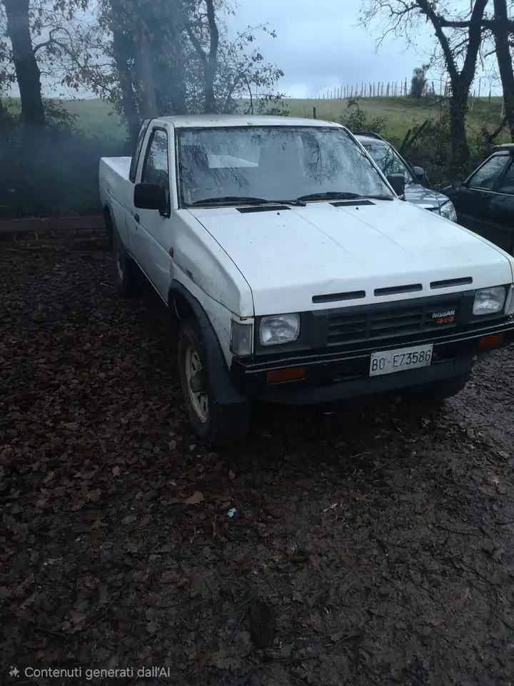 Nissan King Cab 2.5d, foto 5