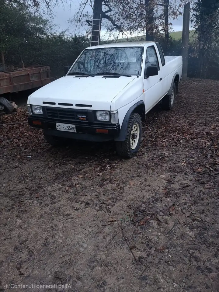 Nissan King Cab 2.5d, foto 4