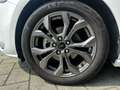 Ford Focus Focus 1.0 ecoboost h ST-Line 125cv Bianco - thumbnail 17