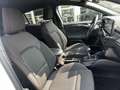Ford Focus Focus 1.0 ecoboost h ST-Line 125cv Bianco - thumbnail 16