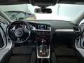 Audi A4 allroad quattro TDI 2.0d 190cv AUTOMATICA  TAGLIANDI AUDI Blanc - thumbnail 12