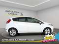 Ford Fiesta VI 2008 - Fiesta 1.4 16v Titanium Gpl 5p FL Bianco - thumbnail 8