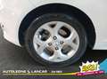 Ford Fiesta VI 2008 - Fiesta 1.4 16v Titanium Gpl 5p FL Bianco - thumbnail 14