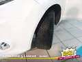 Ford Fiesta VI 2008 - Fiesta 1.4 16v Titanium Gpl 5p FL Bianco - thumbnail 15
