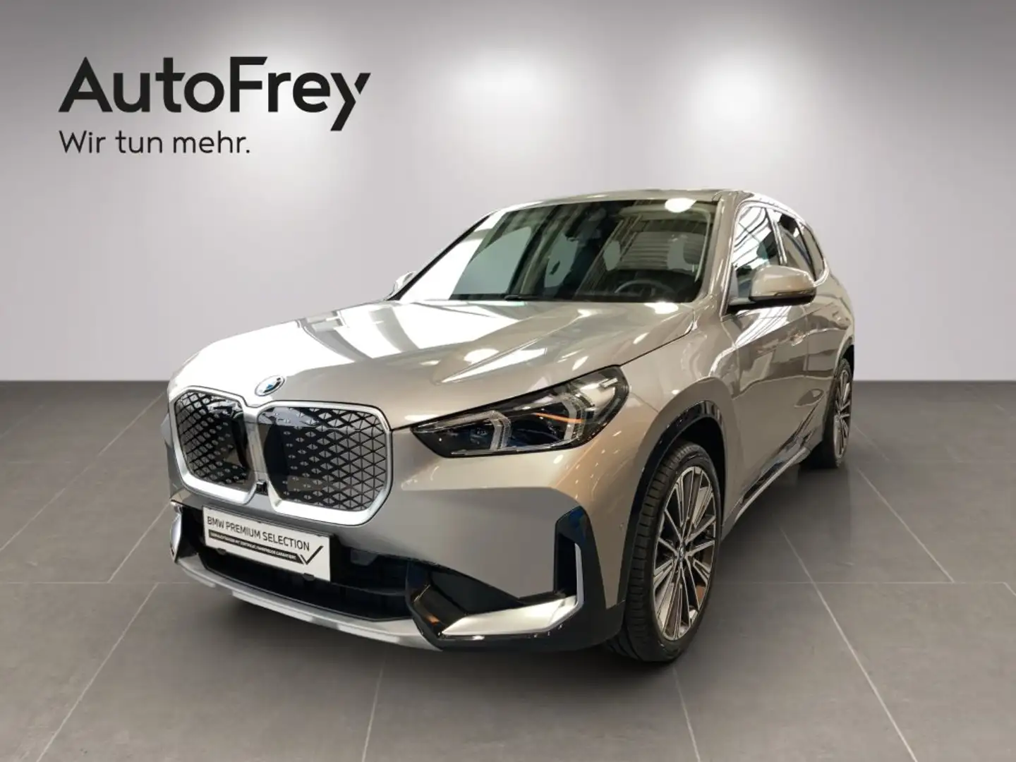 BMW iX1 iX1 xDrive30 Argent - 1