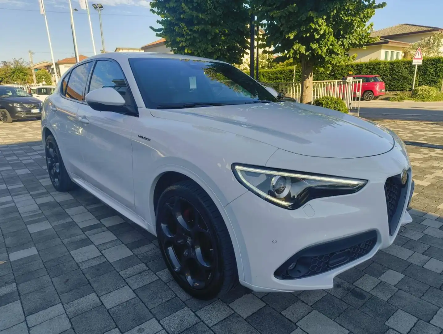 Alfa Romeo Stelvio 2.2 Turbodiesel 210 CV AT8 Q4 Veloce Blanc - 2