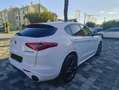 Alfa Romeo Stelvio 2.2 Turbodiesel 210 CV AT8 Q4 Veloce Blanc - thumbnail 4