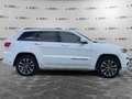 Jeep Grand Cherokee 3.0 V6 CRD 250 CV Multijet II Summit Bianco - thumbnail 4