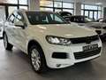 Volkswagen Touareg V6 TDI-Luftfahrwerk-AHK-BiXenon-Kamera- Weiß - thumbnail 3