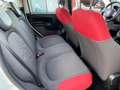 Fiat Panda 1.2 Edizione Cool A-C Elek Pakket Hoge instap Nw A Blanc - thumbnail 12