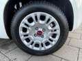 Fiat Panda 1.2 Edizione Cool A-C Elek Pakket Hoge instap Nw A Blanc - thumbnail 9