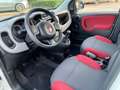 Fiat Panda 1.2 Edizione Cool A-C Elek Pakket Hoge instap Nw A Blanc - thumbnail 10