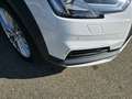 Audi A4 allroad 2.0 TDI 190 CV S tronic UNICO PROPRIETARIO PERMUTE Weiß - thumbnail 16