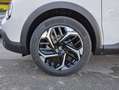 Citroen C4 1.2 PureTech Plus S&S 130 Blanco - thumbnail 11