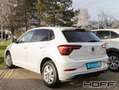 Volkswagen Polo 1.0 TSI Style IQ Drive Navi Allwetter Kamera Weiß - thumbnail 2