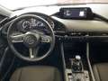 Mazda 3 S SKYACTIV-G 2.0 M Hybrid 6GS AL-SELECTION Rot - thumbnail 7