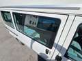 Volkswagen T4 California Coach Westfalia, 2.Hand,Scheckheft Wit - thumbnail 24