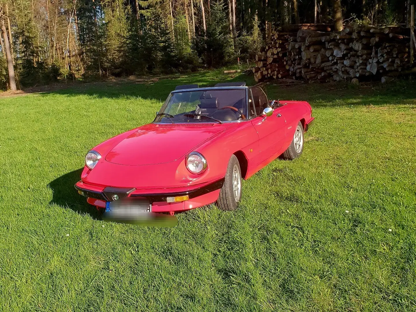 Alfa Romeo Spider 2.0 Rot - 1